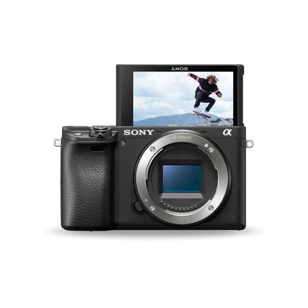 Which is The Best Mirrorless Camera in The World - 2024